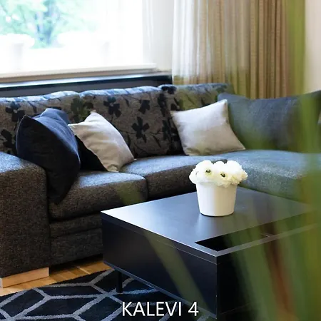 Appartement Center Turu Str Apartments, Parking,
