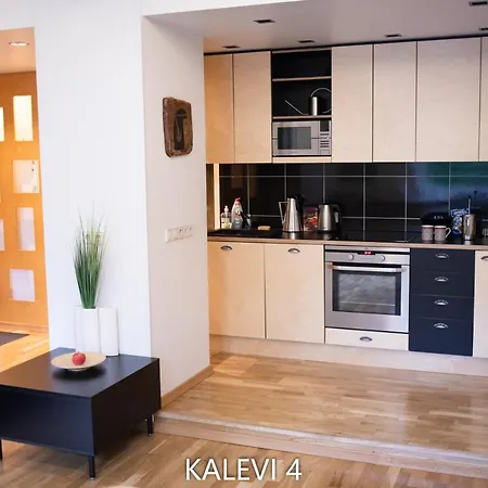 Korter Center Turu Str Apartments, Parking, Tartu