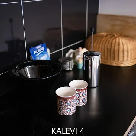 Appartement Center Turu Str Apartments, Parking, Tartu