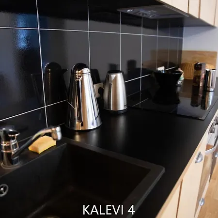 Center Turu Str Apartments, Parking,