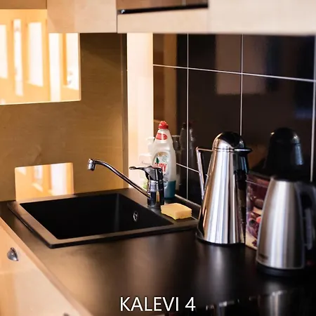 Center Turu Str Apartments, Parking, *