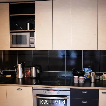 Center Turu Str Apartments, Parking, Tartu