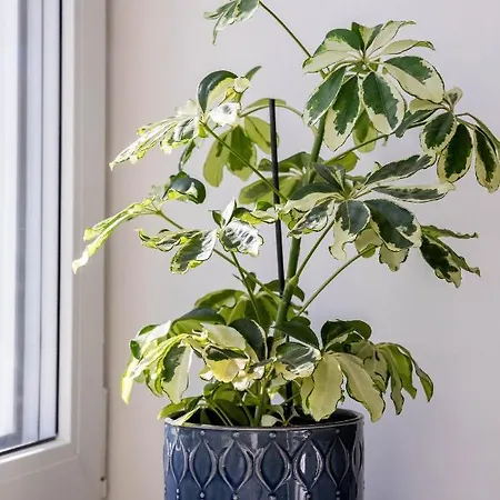 Apartamento Center Turu Str Apartments, Parking, *