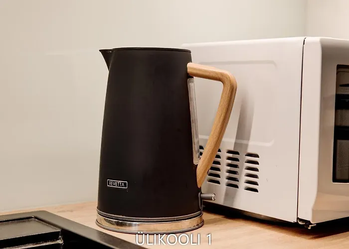 Center Turu Str Apartments, Parking, דירה