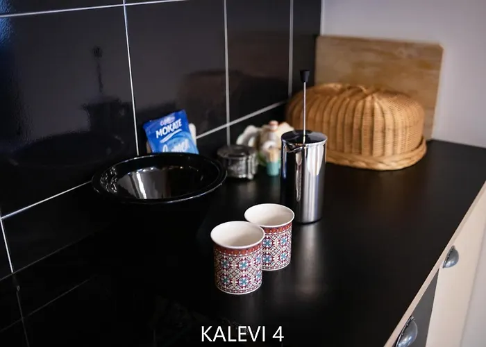 Apartament Center Turu Str Apartments, Parking, Tartu