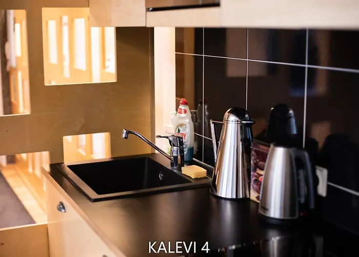 Center Turu Str Apartments, Parking, *