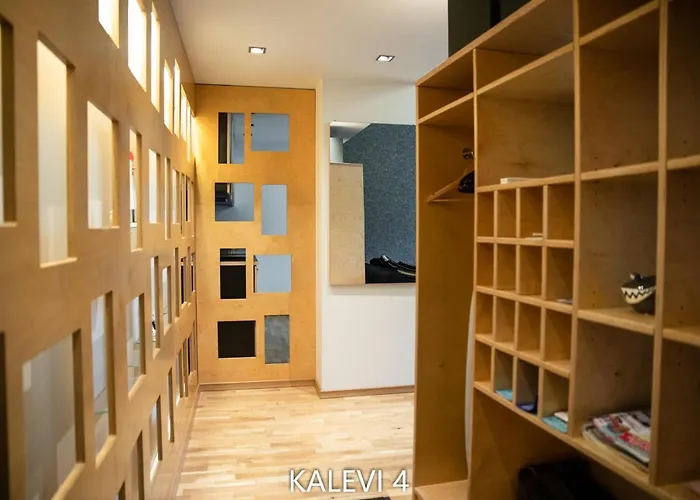 Center Turu Str Apartments, Parking, Apartament *