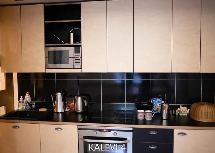 Center Turu Str Apartments, Parking, Tartu