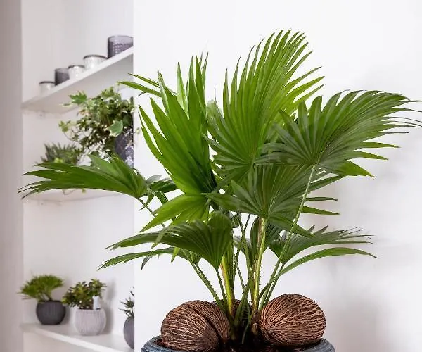 Center Turu Str Apartments, Parking, Lägenhet Tartu