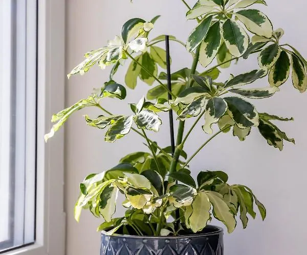 Apartament Center Turu Str Apartments, Parking, *